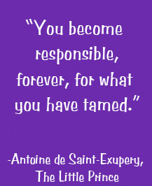 You are forever responsible for what you have tamed.