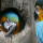 Why Birds Need to Chew