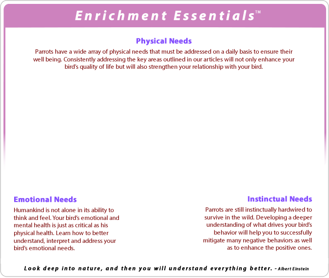 Avian Enrichment ESS